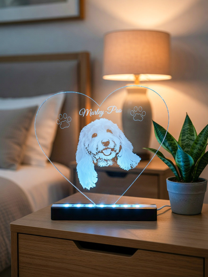 LED Acrylic Pet Portrait
